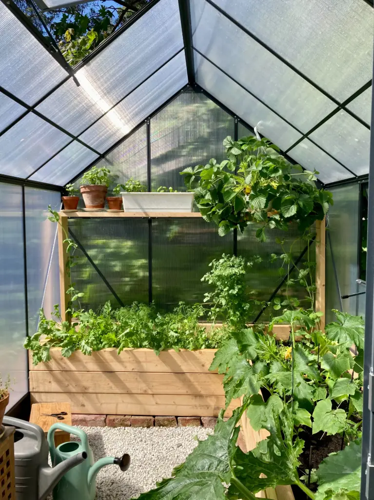 Hemp Greenhouse Plastic