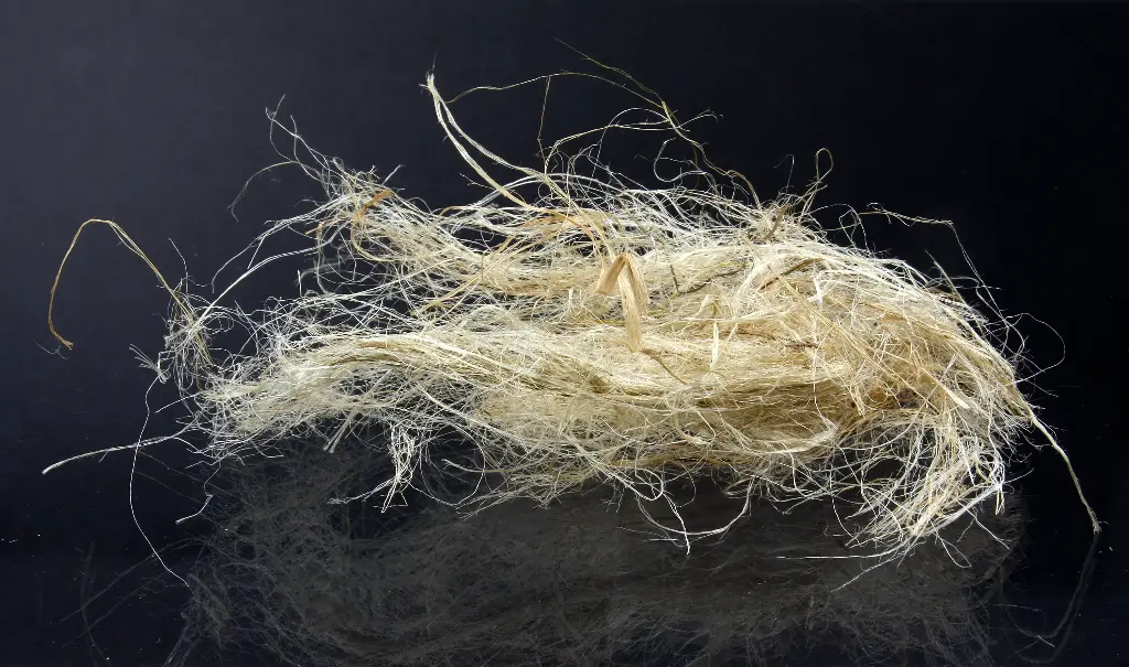 Hemp Fiber
